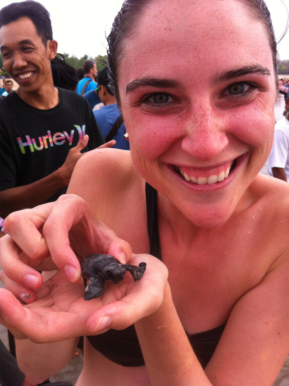Bali Baby Turtles!