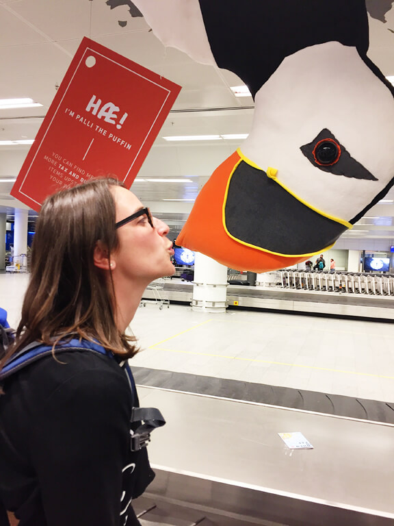 Icelandic Airport Puffin Surveillance