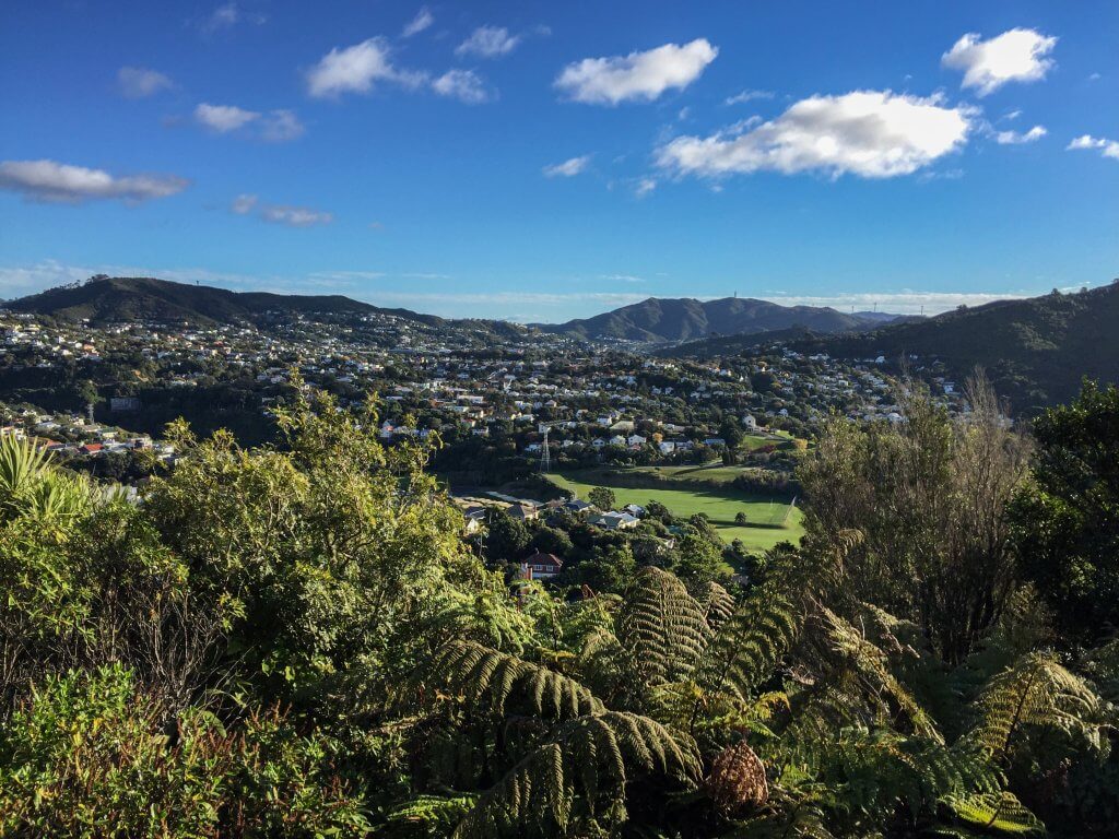 Make Your Own Path in New Zealand Using Budgets to Improve Your